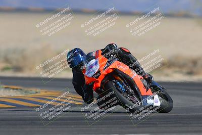 media/Feb-04-2023-SoCal Trackdays (Sat) [[8a776bf2c3]]/Turn 4 (Tree of Life 2pm)/